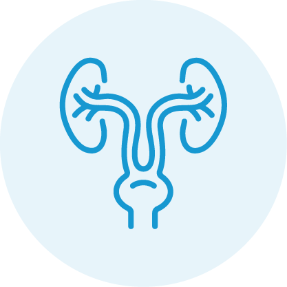 Urology & Nephrology